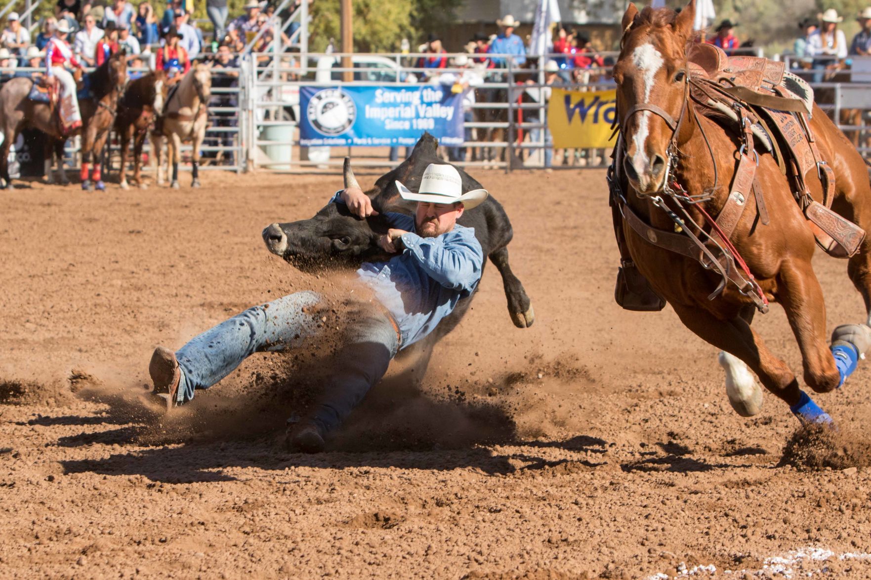 Cattle Call Rodeo